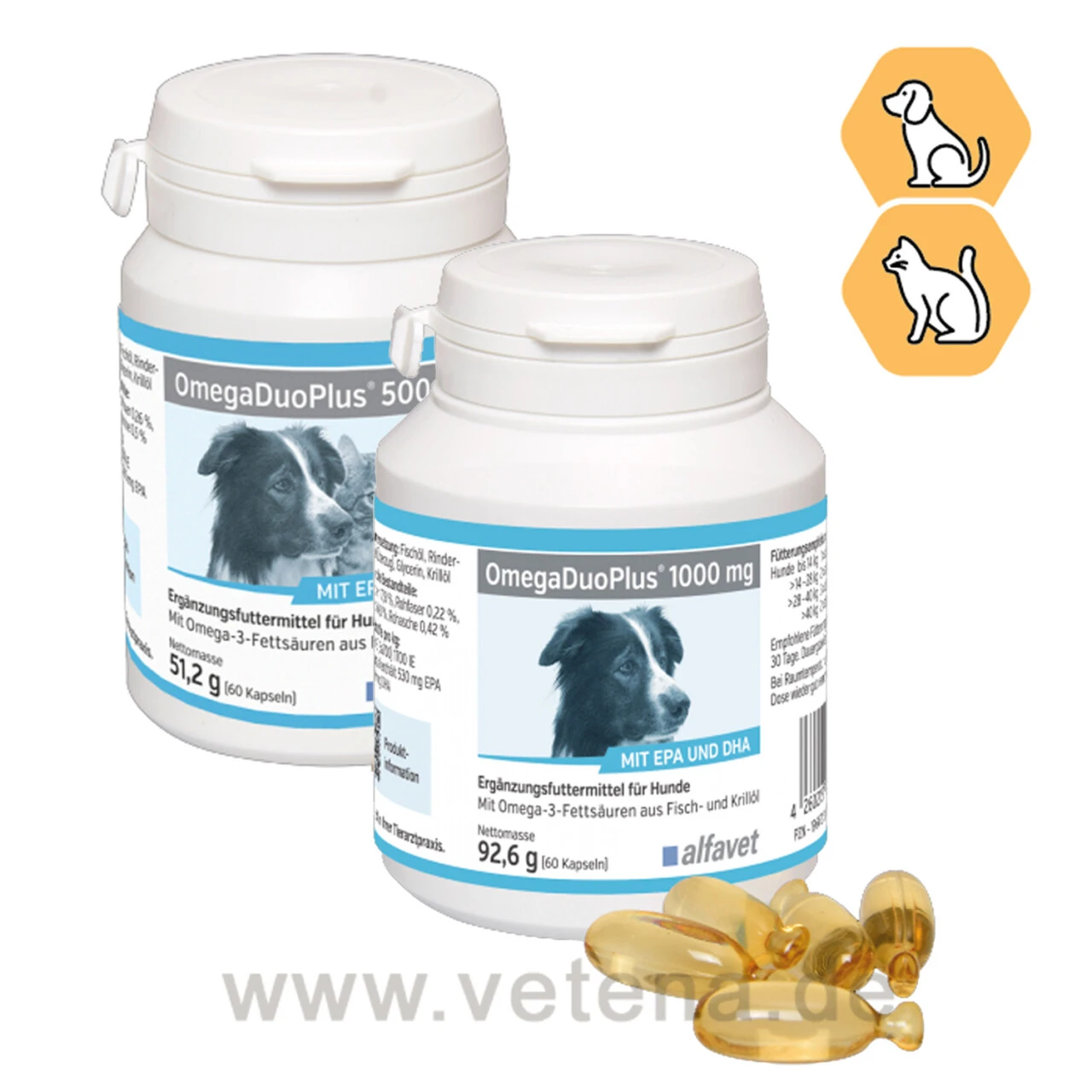 DuOmega Hund & Katze 1 DuOmega Hund & Katze