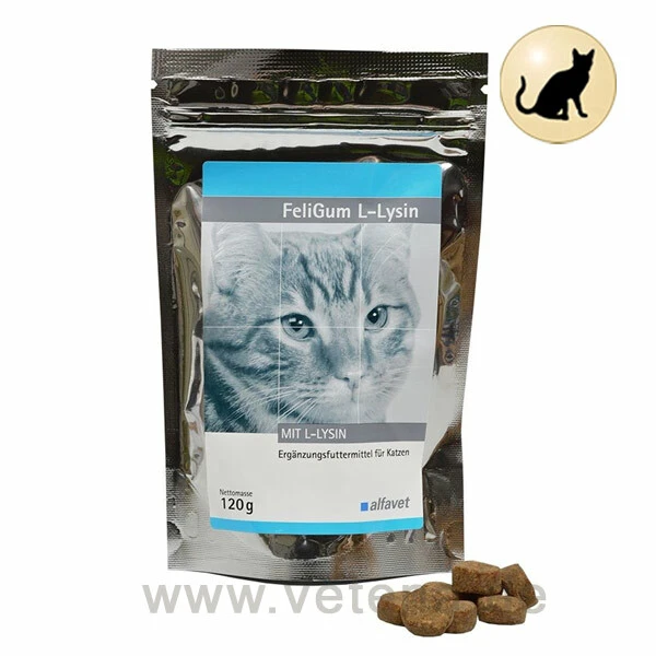 FeliGum L-Lysin Katze 1 FeliGum L-Lysin Katze