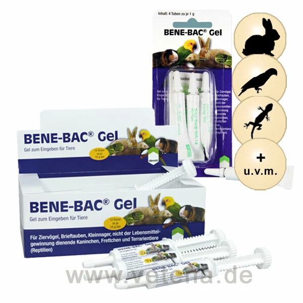 DECHRA Bene-Bac Gel 1 DECHRA Bene-Bac Gel
