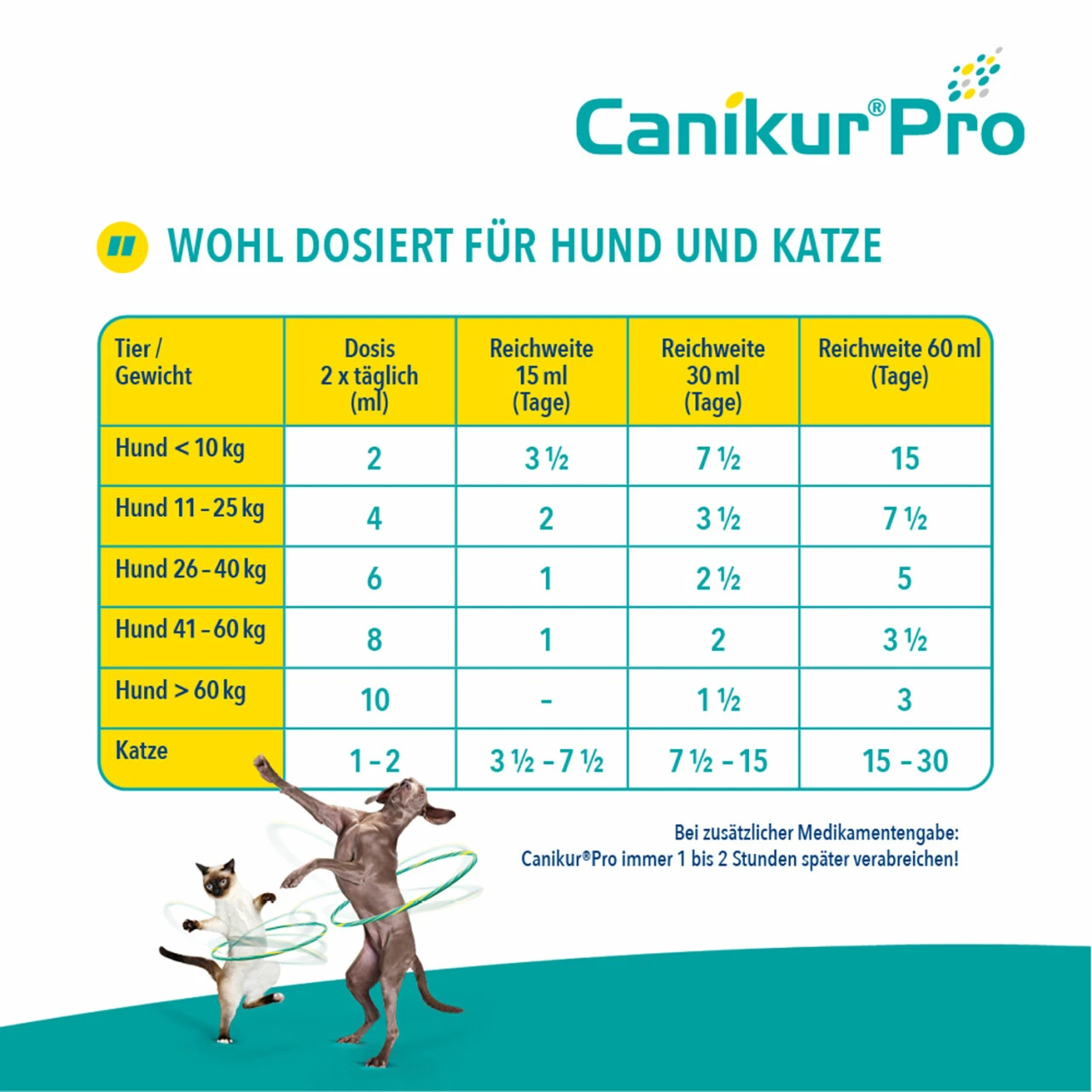 Boehringer Ingelheim Canikur Pro Hund & Katze 5 Boehringer Ingelheim Canikur Pro Hund & Katze – Bild 5