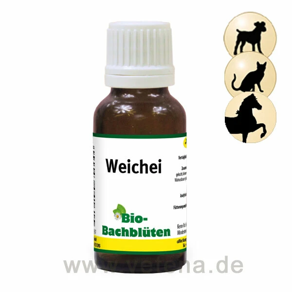CdVet Bio-Bachblüten Weichei 1 CdVet Bio-Bachblüten Weichei