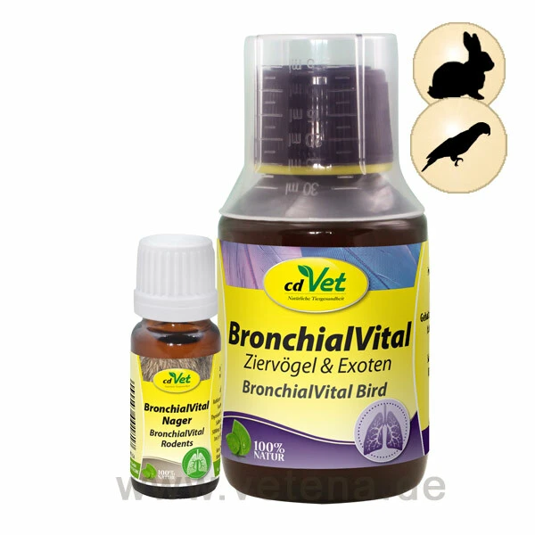 CdVet BronchialVital 1 CdVet BronchialVital