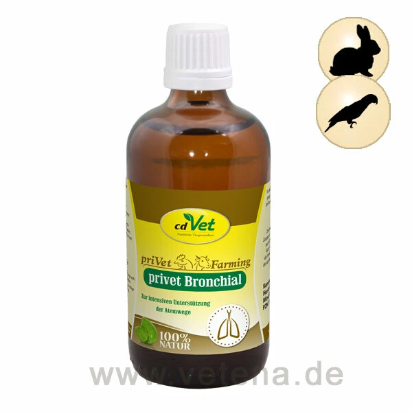 CdVet Privet Bronchial 1 CdVet Privet Bronchial