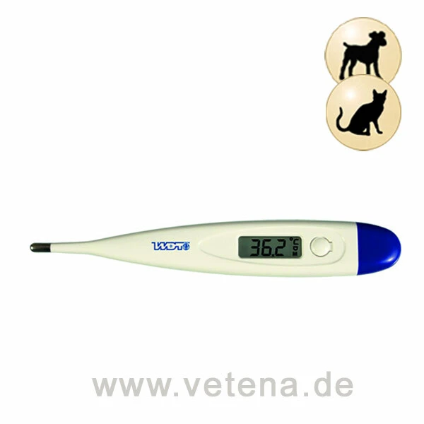 Digitalthermometer WDT 1 Digitalthermometer WDT