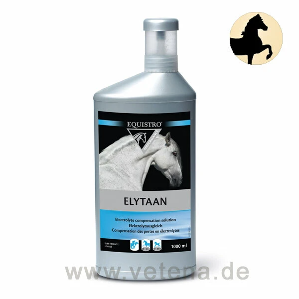 Equistro Elytaan Pferd 1 Equistro Elytaan Pferd