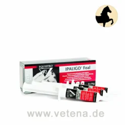 Equistro Ipaligo Foal Pferd