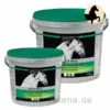 Equistro Mega Base Pferd