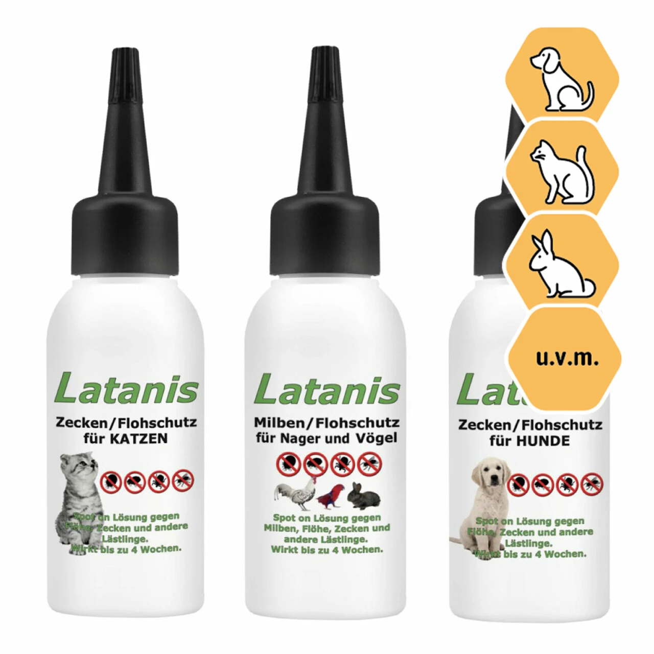 Latanis Zeckenschutz Spot On 16vet 1 Latanis Zeckenschutz Spot On 16vet