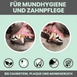 Noms+ Dentalmix Für Hunde 11 Noms+ Dentalmix Für Hunde -Virbac Store nomsplus dentalmix hunde5