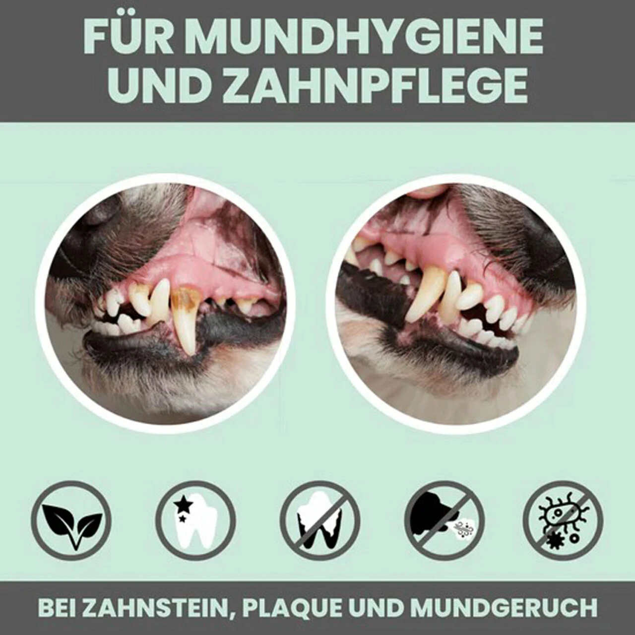 Noms+ Dentalmix Für Hunde 5 Noms+ Dentalmix Für Hunde – Bild 5