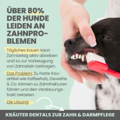 Noms+ Kräuter Dentals Für Hunde -Virbac Store nomsplus kraeuter dentals hunde4