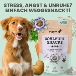 Noms+ Wohlfühlsnacks Für Hunde 11 Noms+ Wohlfühlsnacks Für Hunde -Virbac Store nomsplus wohlfuehltabs hund katze 13