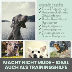 Noms+ Wohlfühlsnacks Für Hunde 13 Noms+ Wohlfühlsnacks Für Hunde -Virbac Store nomsplus wohlfuehltabs hund katze 15
