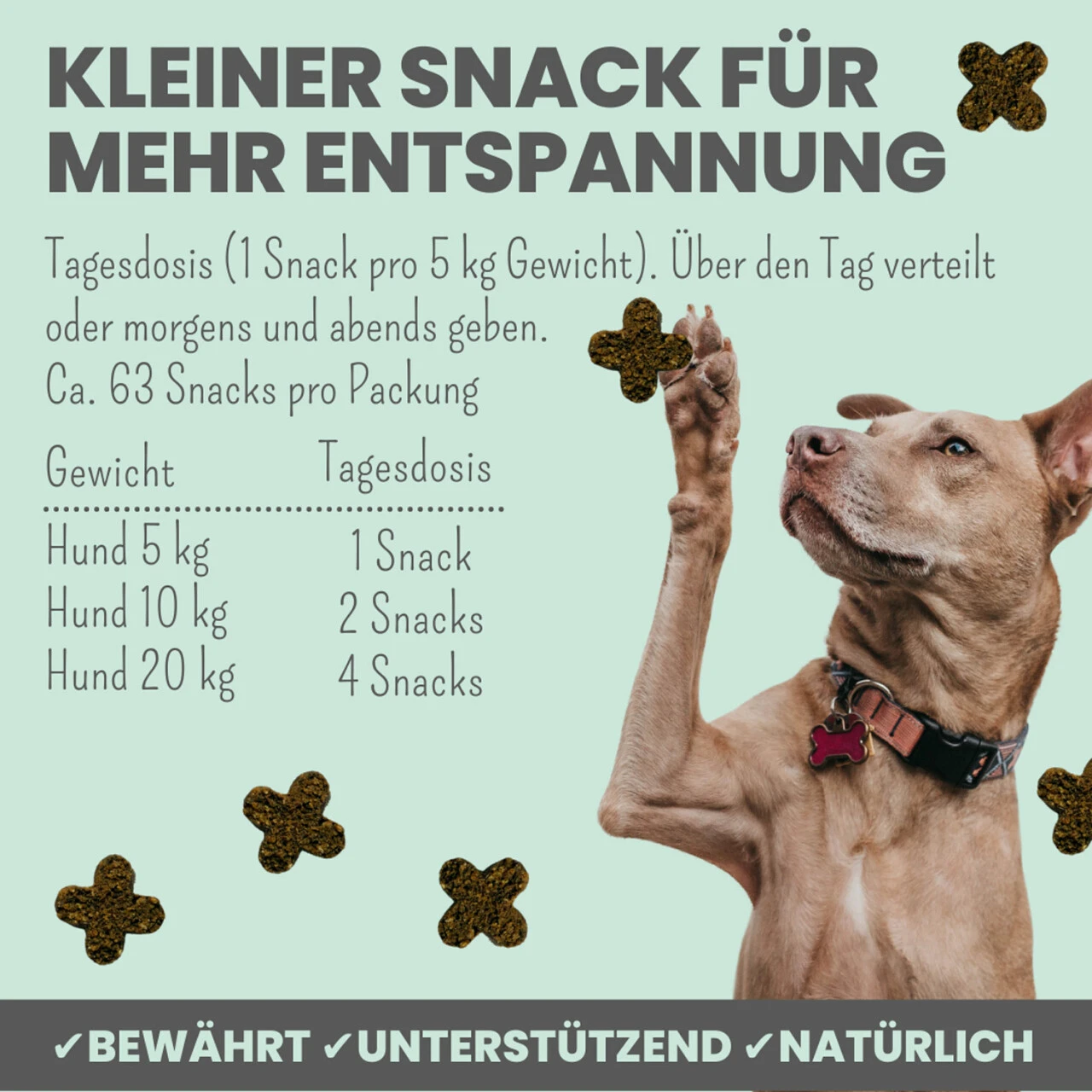 Noms+ Wohlfühlsnacks Für Hunde 6 Noms+ Wohlfühlsnacks Für Hunde – Bild 6