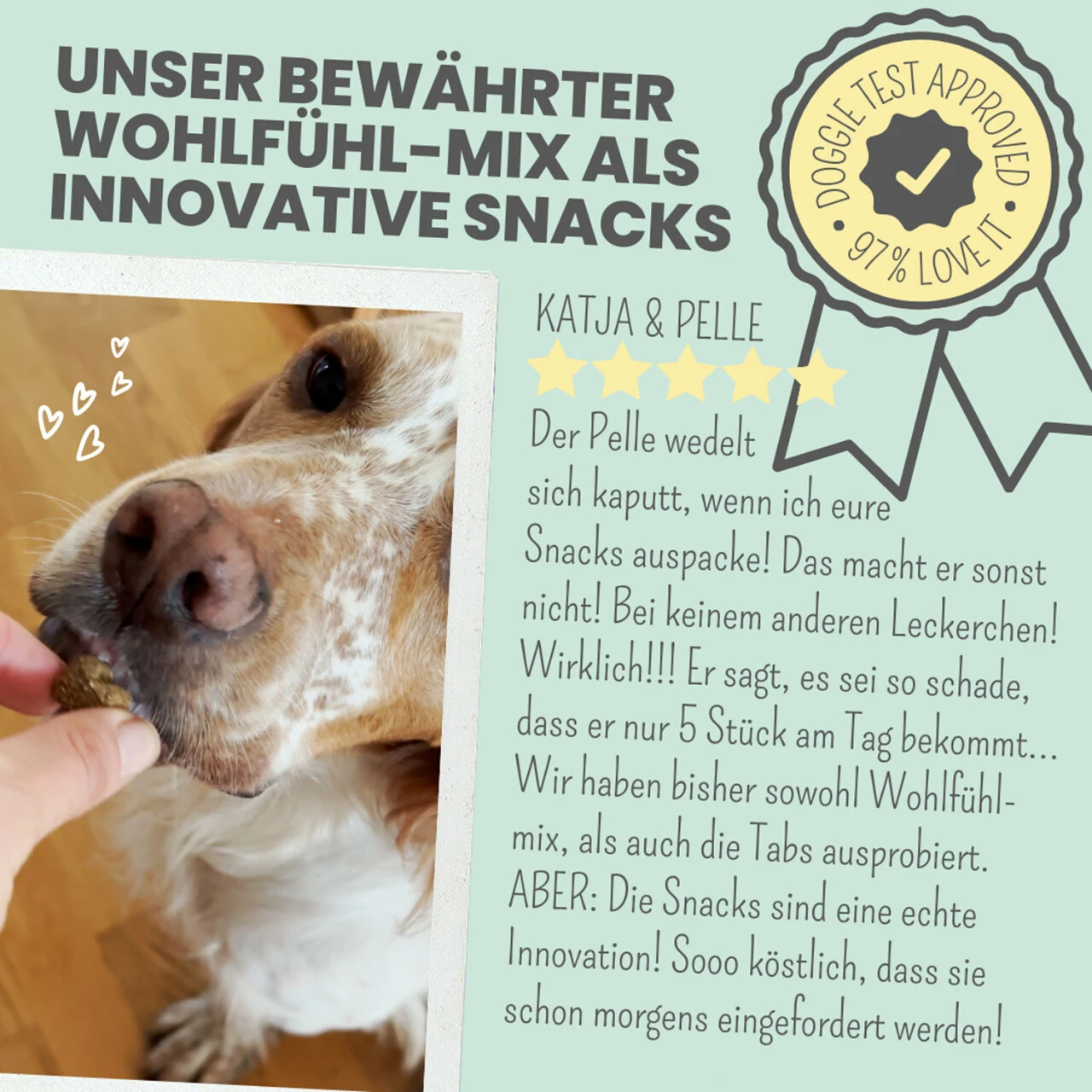 Noms+ Wohlfühlsnacks Für Hunde 7 Noms+ Wohlfühlsnacks Für Hunde – Bild 7