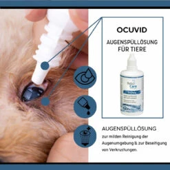 ReboCare Ocuvid Augenspüllösung 6 ReboCare Ocuvid Augenspüllösung -Virbac Store rebocare ocuvid augenspuelloesung tiere3