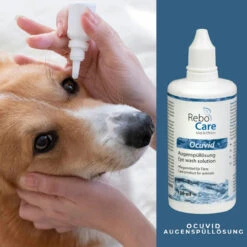 ReboCare Ocuvid Augenspüllösung 7 ReboCare Ocuvid Augenspüllösung -Virbac Store rebocare ocuvid augenspuelloesung tiere4