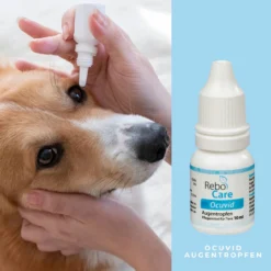 ReboCare Ocuvid Augentropfen Für Tiere 7 ReboCare Ocuvid Augentropfen Für Tiere -Virbac Store rebocare ocuvid augentropfen tiere4