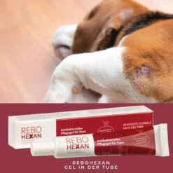 ReboHexan Pflegegel -Virbac Store rebohexan pflegegel tiere4