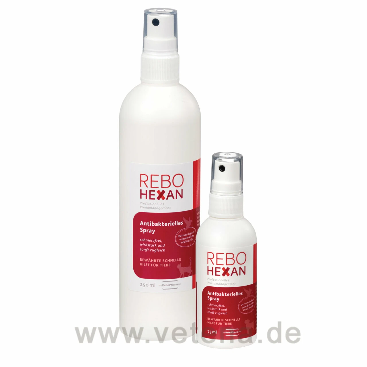 ReboHexan Spray 1 ReboHexan Spray