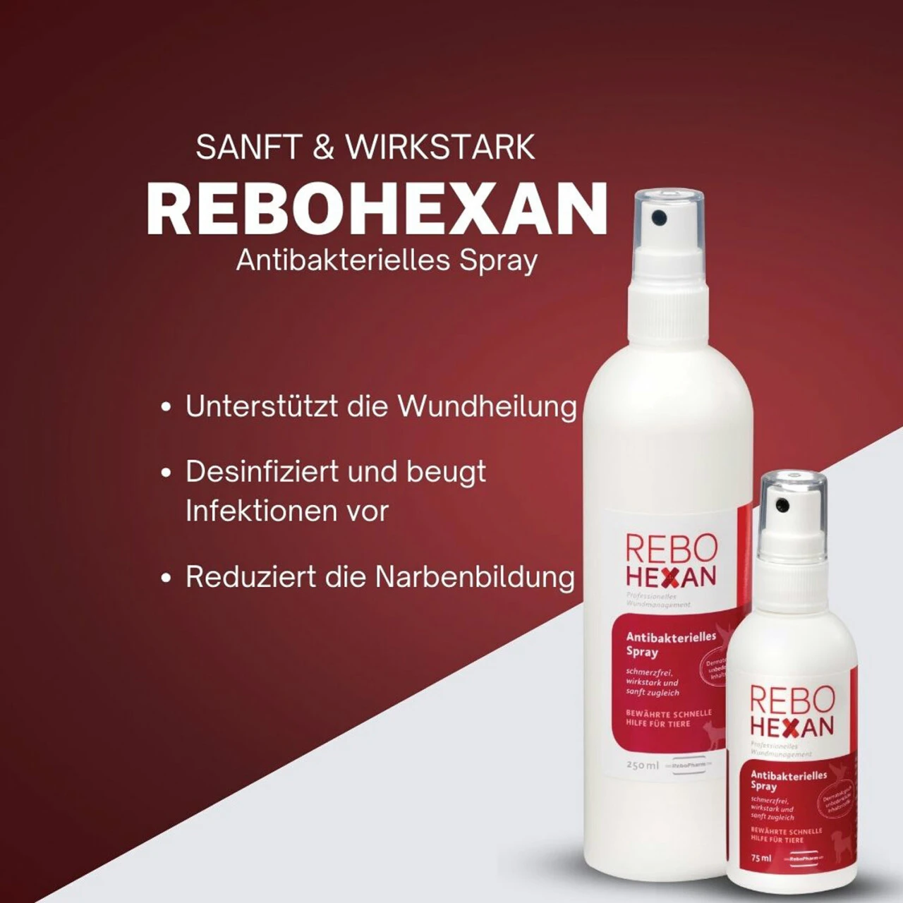 ReboHexan Spray 2 ReboHexan Spray – Bild 2