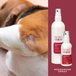 ReboHexan Spray 7 ReboHexan Spray -Virbac Store rebohexan spray tiere4