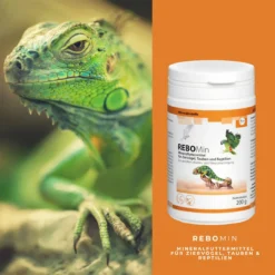 ReboVet REBOMin Für Vögel & Reptilien -Virbac Store rebopharm rebomin kleintier4
