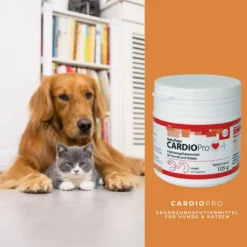 ReboTabs CARDIOPro Für Hunde & Katzen -Virbac Store rebotabs cardiopro4