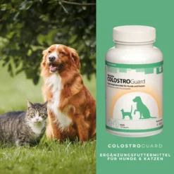 ReboTabs COLOSTROGuard Für Hunde & Katzen -Virbac Store rebotabs colostroguard4