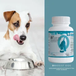 ReboTabs DiAssist Dog Für Hunde -Virbac Store rebotabs diassist dog4