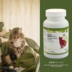 ReboTabs UroFelin Für Katzen -Virbac Store rebotabs urofelin katze4