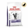 Royal Canin Expert Dental Trockenfutter Für Katzen