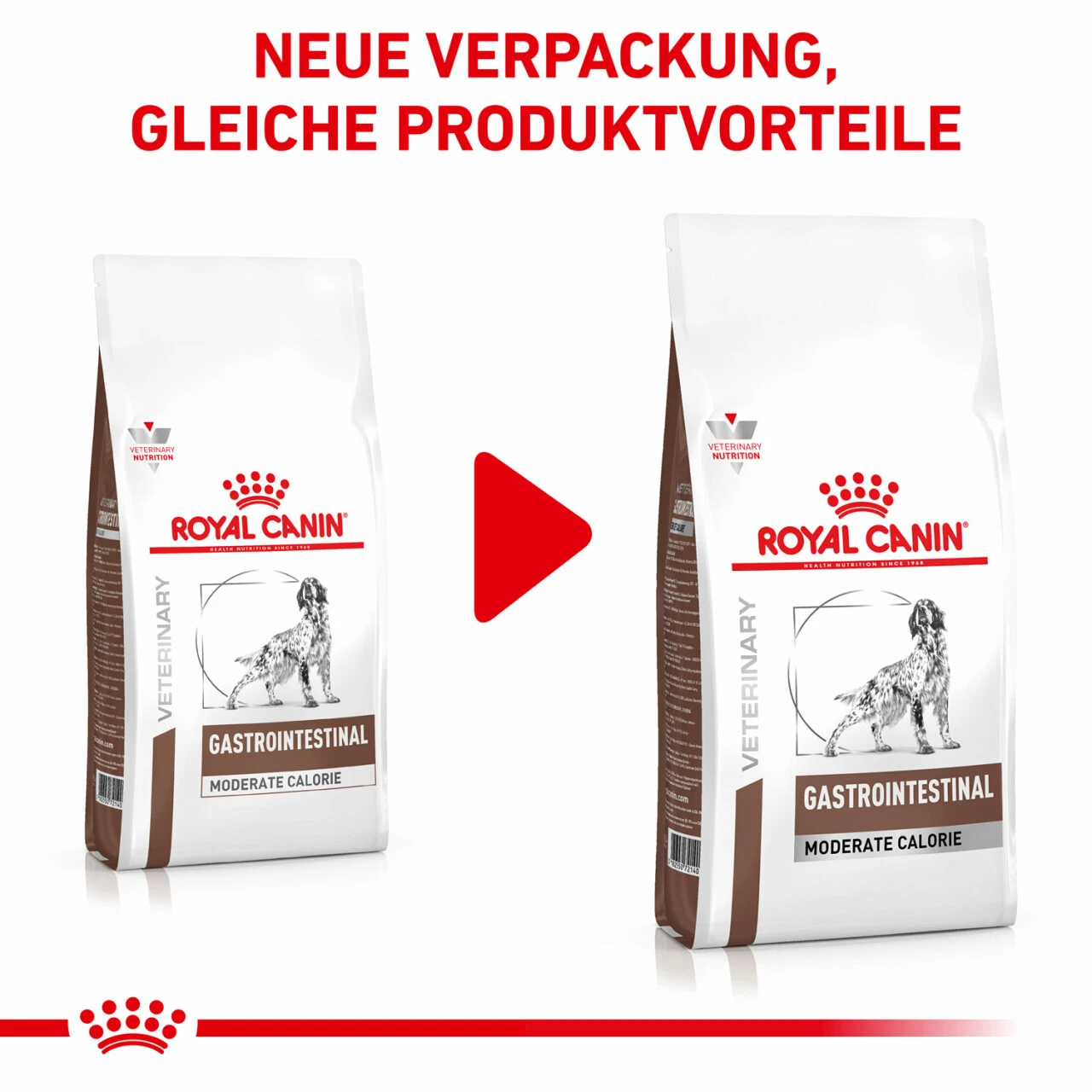 Royal Canin Gastrointestinal Moderate Calorie Trockenfutter Für Hunde 2 Royal Canin Gastrointestinal Moderate Calorie Trockenfutter Für Hunde – Bild 2
