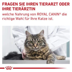 Royal Canin Gastrointestinal Fibre Response Trockenfutter Für Katzen 19 Royal Canin Gastrointestinal Fibre Response Trockenfutter Für Katzen -Virbac Store royal canin gastrointestinal fibre response katze10