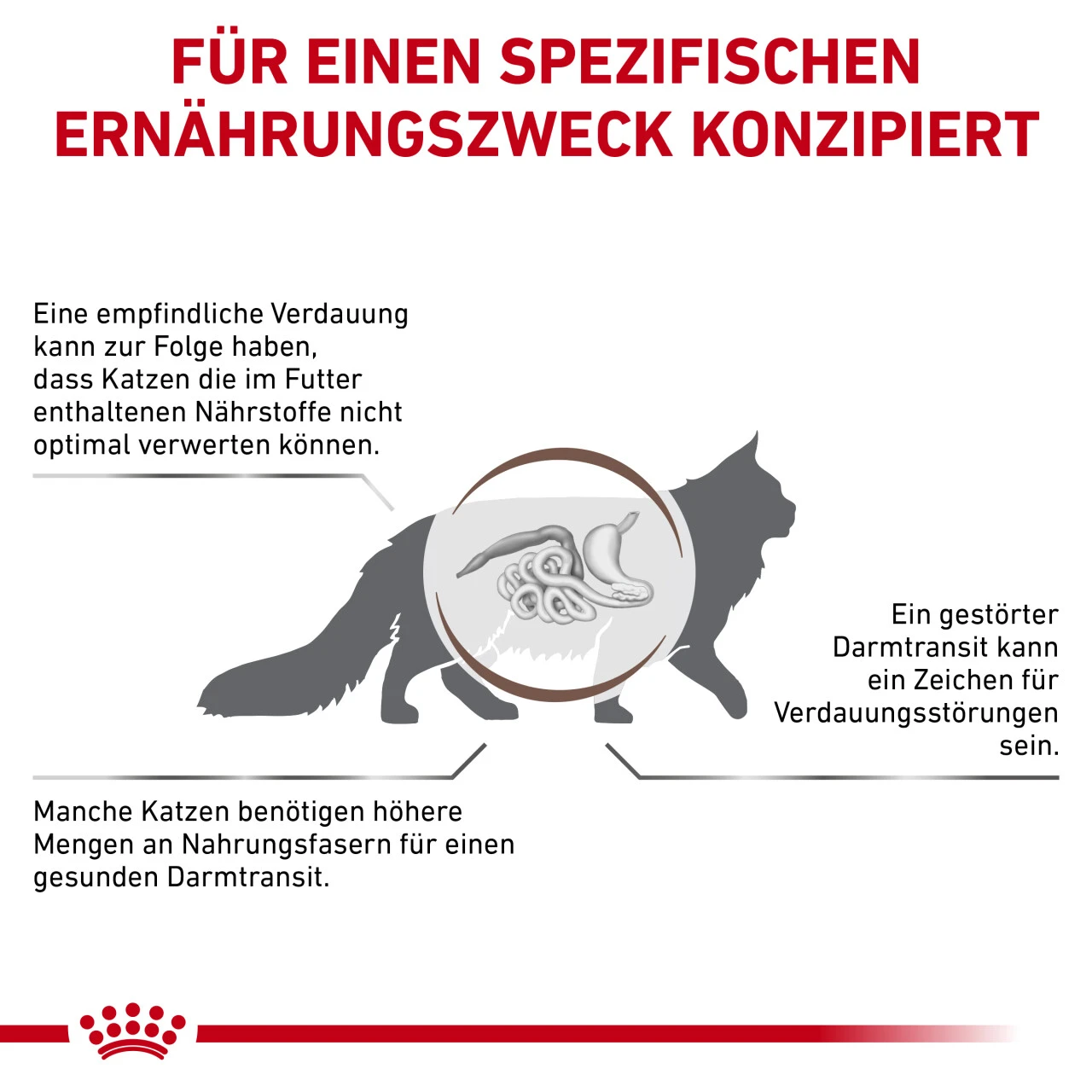Royal Canin Gastrointestinal Fibre Response Trockenfutter Für Katzen 6 Royal Canin Gastrointestinal Fibre Response Trockenfutter Für Katzen – Bild 6