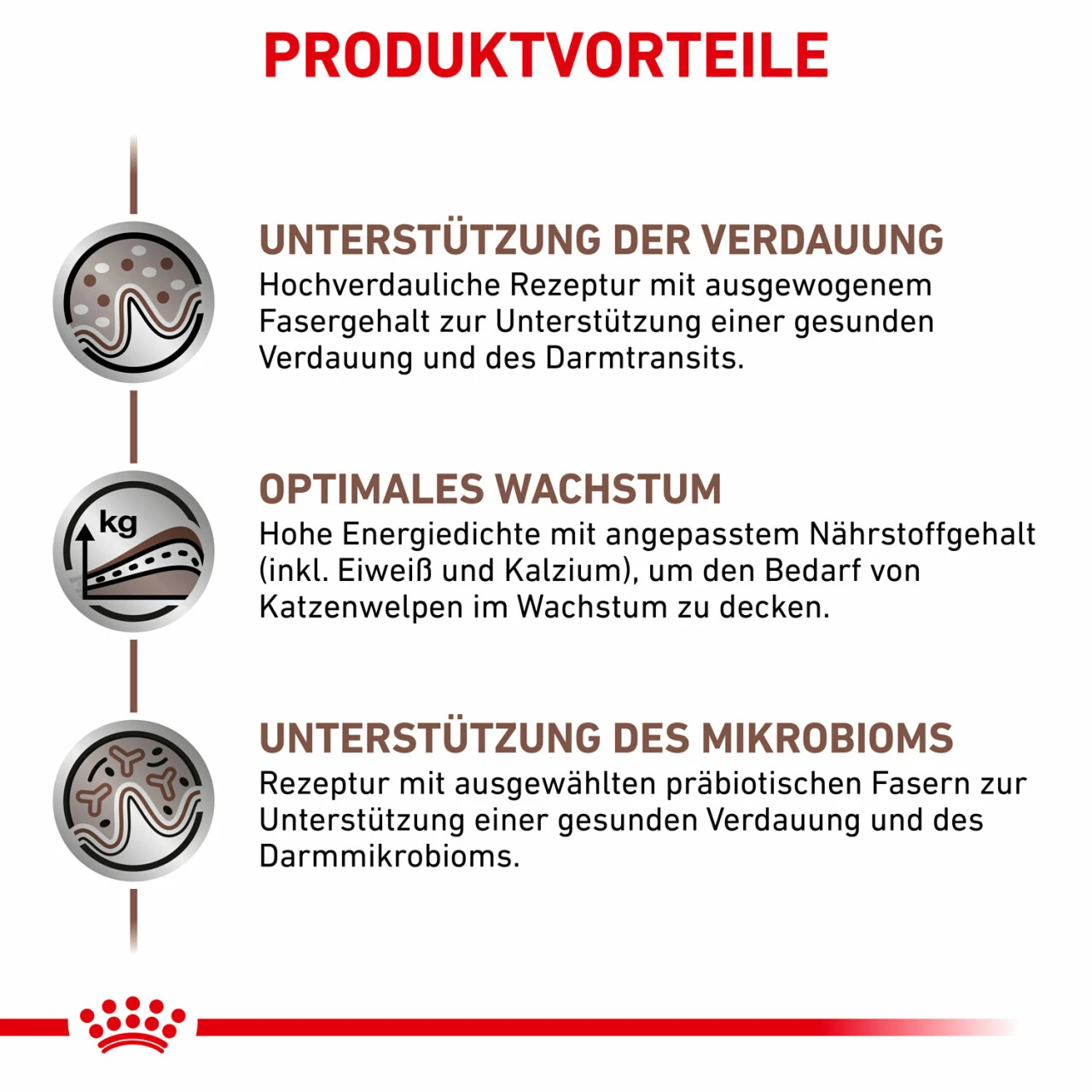 Royal Canin Gastrointestinal Kitten Nassfutter Für Katzen 3 Royal Canin Gastrointestinal Kitten Nassfutter Für Katzen – Bild 3