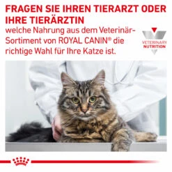 Royal Canin Gastrointestinal Kitten Nassfutter Für Katzen 11 Royal Canin Gastrointestinal Kitten Nassfutter Für Katzen -Virbac Store royal canin gastrointestinal kitten nass7