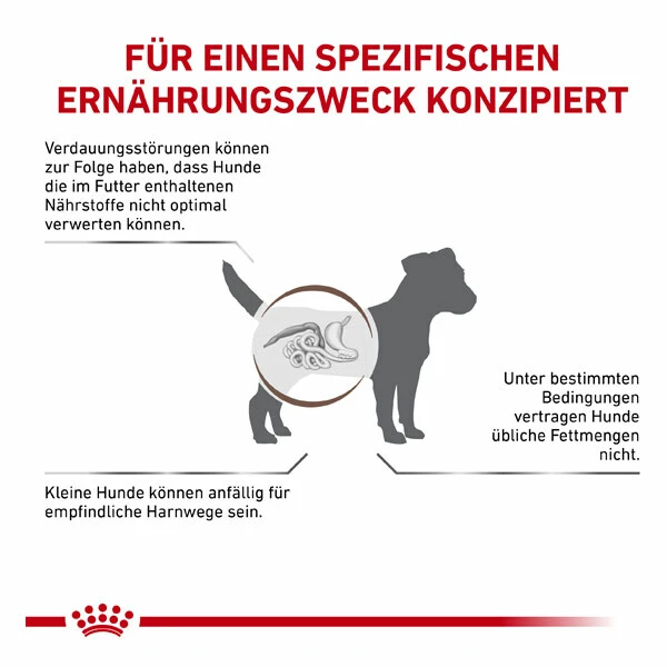 Royal Canin Gastrointestinal Low Fat Small Dogs Trockenfutter Für Hunde 5 Royal Canin Gastrointestinal Low Fat Small Dogs Trockenfutter Für Hunde – Bild 5