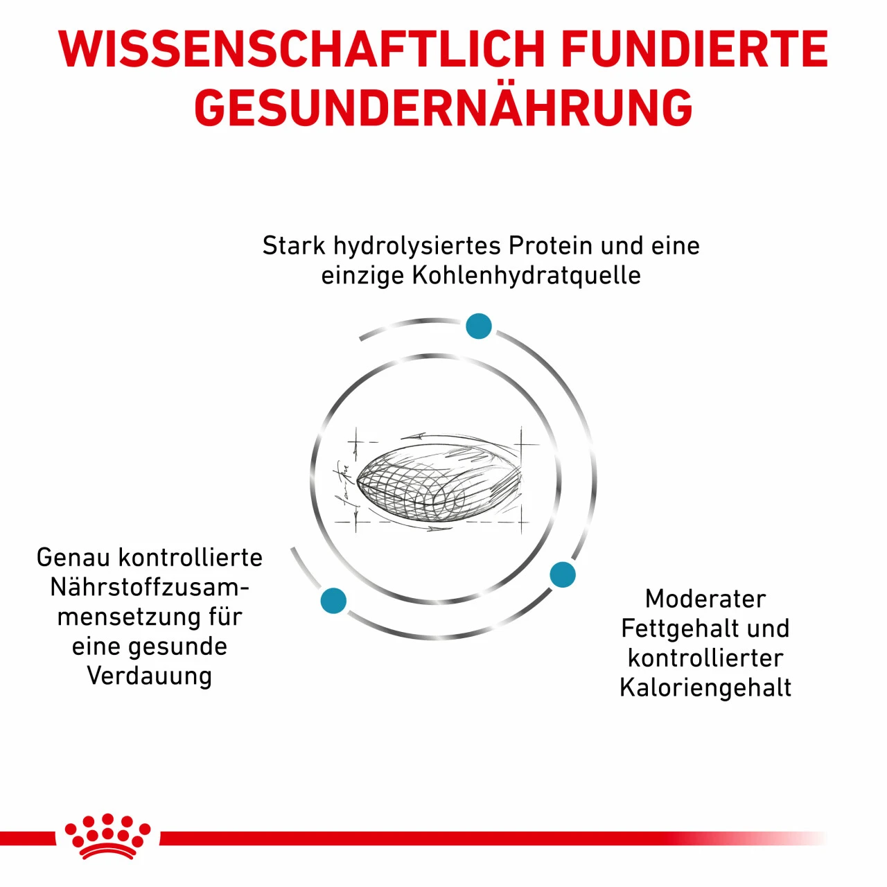 Royal Canin Hypoallergenic Moderate Calorie Trockenfutter Für Hunde 3 Royal Canin Hypoallergenic Moderate Calorie Trockenfutter Für Hunde – Bild 3