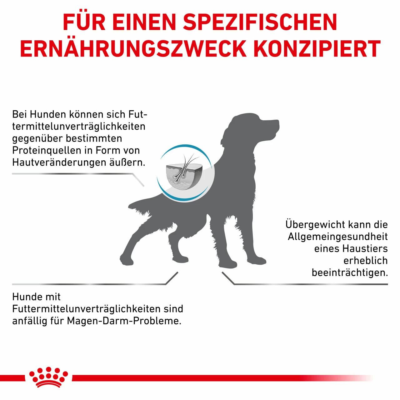 Royal Canin Hypoallergenic Moderate Calorie Trockenfutter Für Hunde 7 Royal Canin Hypoallergenic Moderate Calorie Trockenfutter Für Hunde – Bild 7