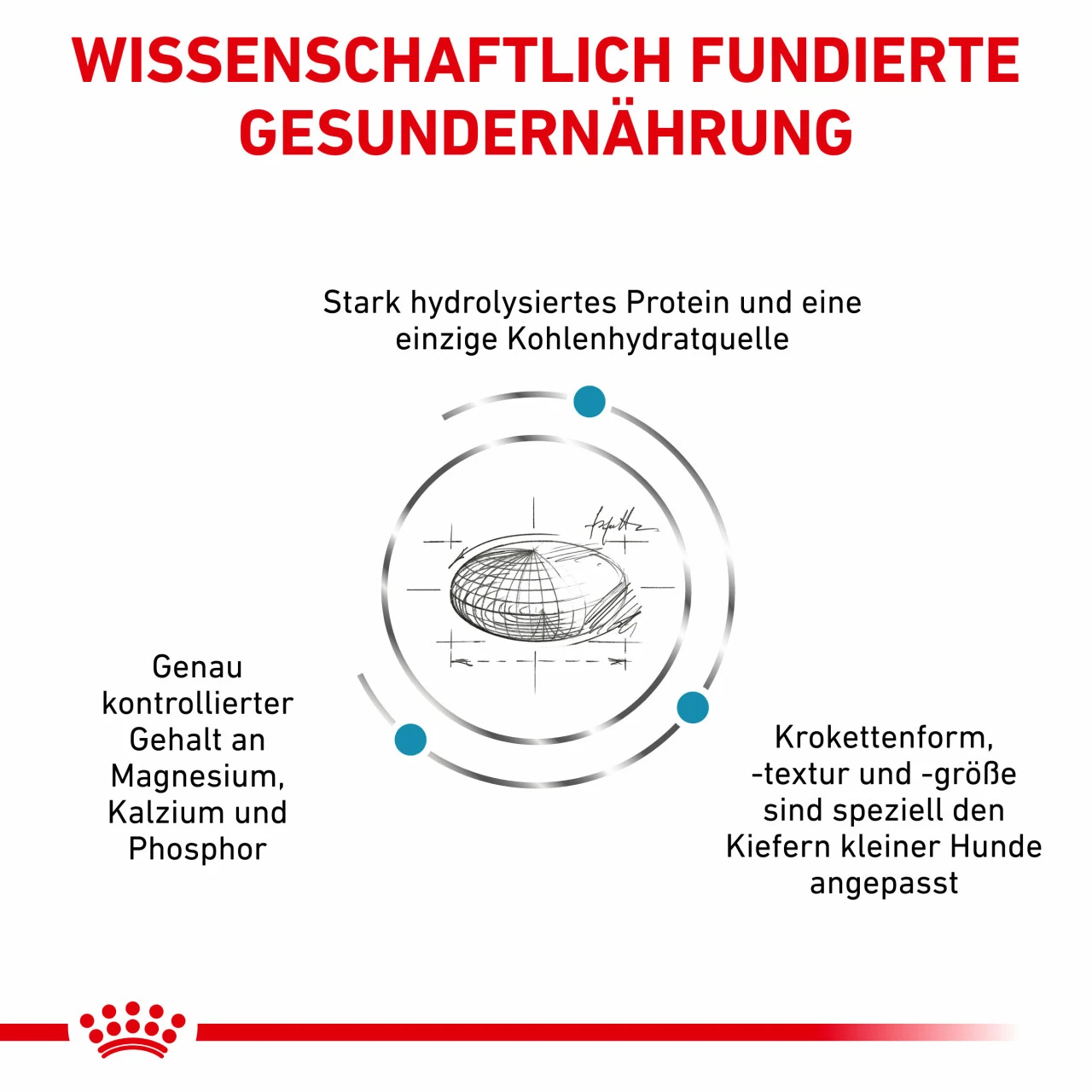 Royal Canin Hypoallergenic Small Dogs Trockenfutter Für Hunde 4 Royal Canin Hypoallergenic Small Dogs Trockenfutter Für Hunde – Bild 4