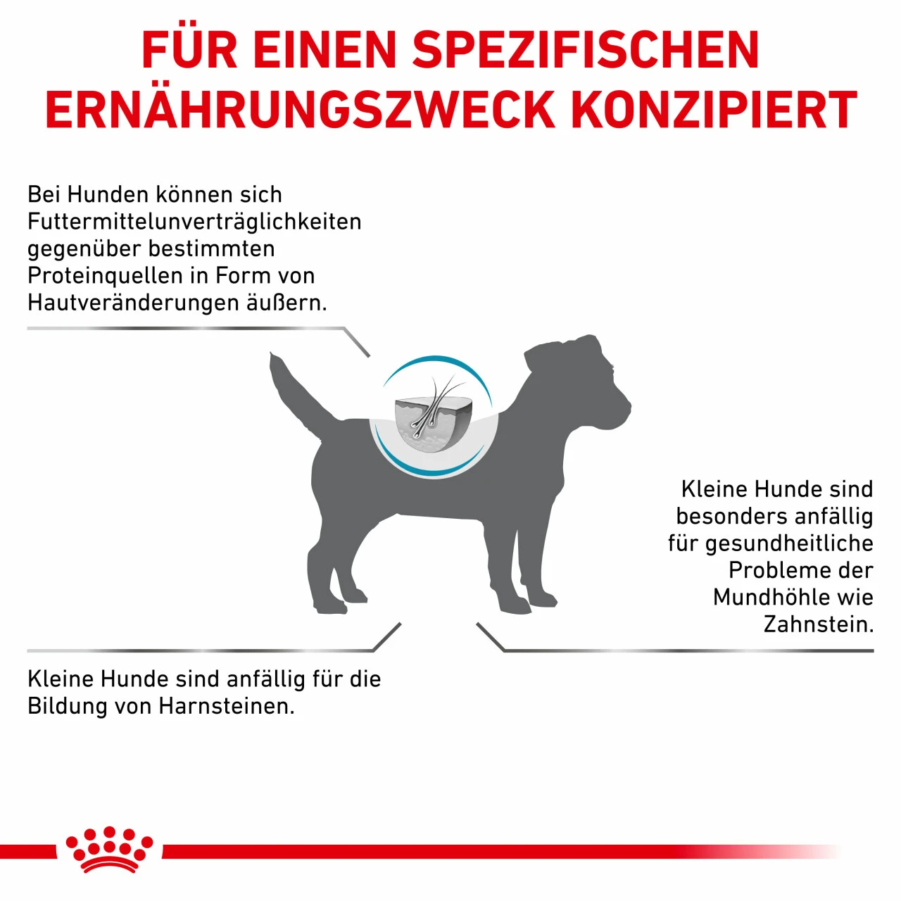 Royal Canin Hypoallergenic Small Dogs Trockenfutter Für Hunde 9 Royal Canin Hypoallergenic Small Dogs Trockenfutter Für Hunde – Bild 9