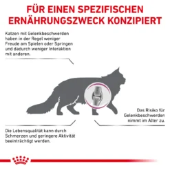 Royal Canin Mobility Trockenfutter Für Katzen -Virbac Store royal canin mobility katze5
