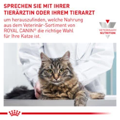 Royal Canin Renal Select Trockenfutter Katze 15 Royal Canin Renal Select Trockenfutter Katze -Virbac Store royal canin renal select katze8