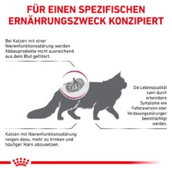 Royal Canin Renal Trockenfutter Für Katzen 12 Royal Canin Renal Trockenfutter Für Katzen -Virbac Store royal canin renal trocken katze5