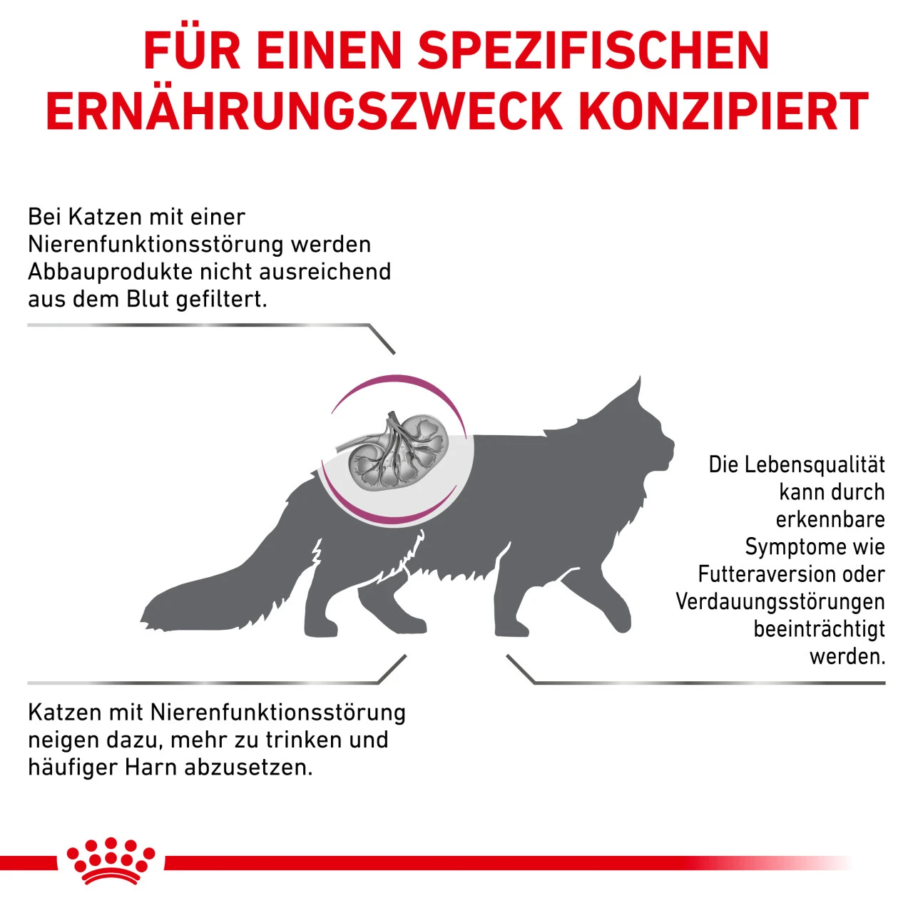 Royal Canin Renal Trockenfutter Für Katzen 5 Royal Canin Renal Trockenfutter Für Katzen – Bild 5