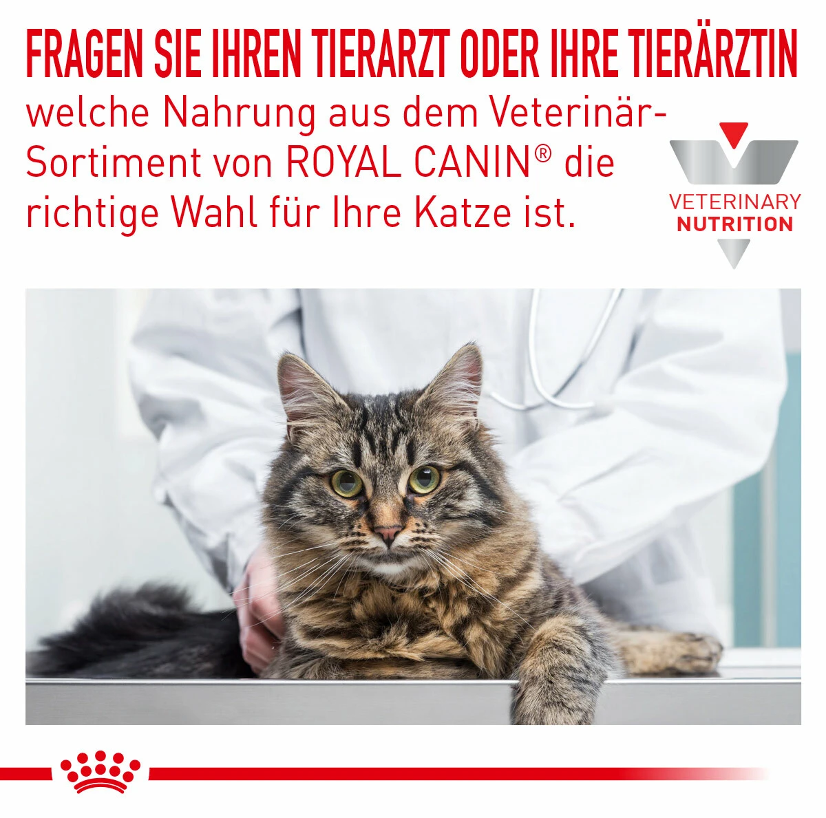 Royal Canin Sensitivity Control Trockenfutter Für Katzen 2 Royal Canin Sensitivity Control Trockenfutter Für Katzen – Bild 2