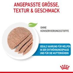 Royal Canin Starter Mousse Mother & Babydog Nassfutter Für Hunde -Virbac Store royal canin starter mousse mother babydog hund4