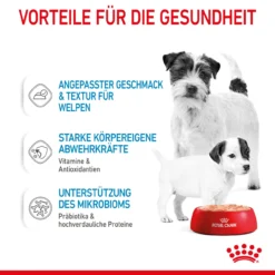 Royal Canin Starter Mousse Mother & Babydog Nassfutter Für Hunde -Virbac Store royal canin starter mousse mother babydog hund5