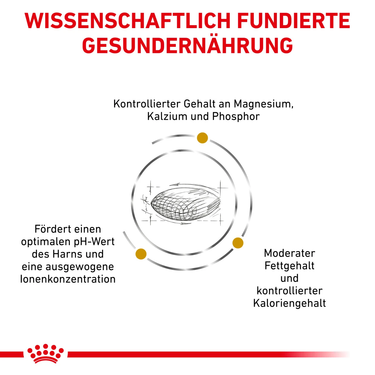 Royal Canin Urinary S/O Moderate Calorie Trockenfutter Für Hunde 4 Royal Canin Urinary S/O Moderate Calorie Trockenfutter Für Hunde – Bild 4